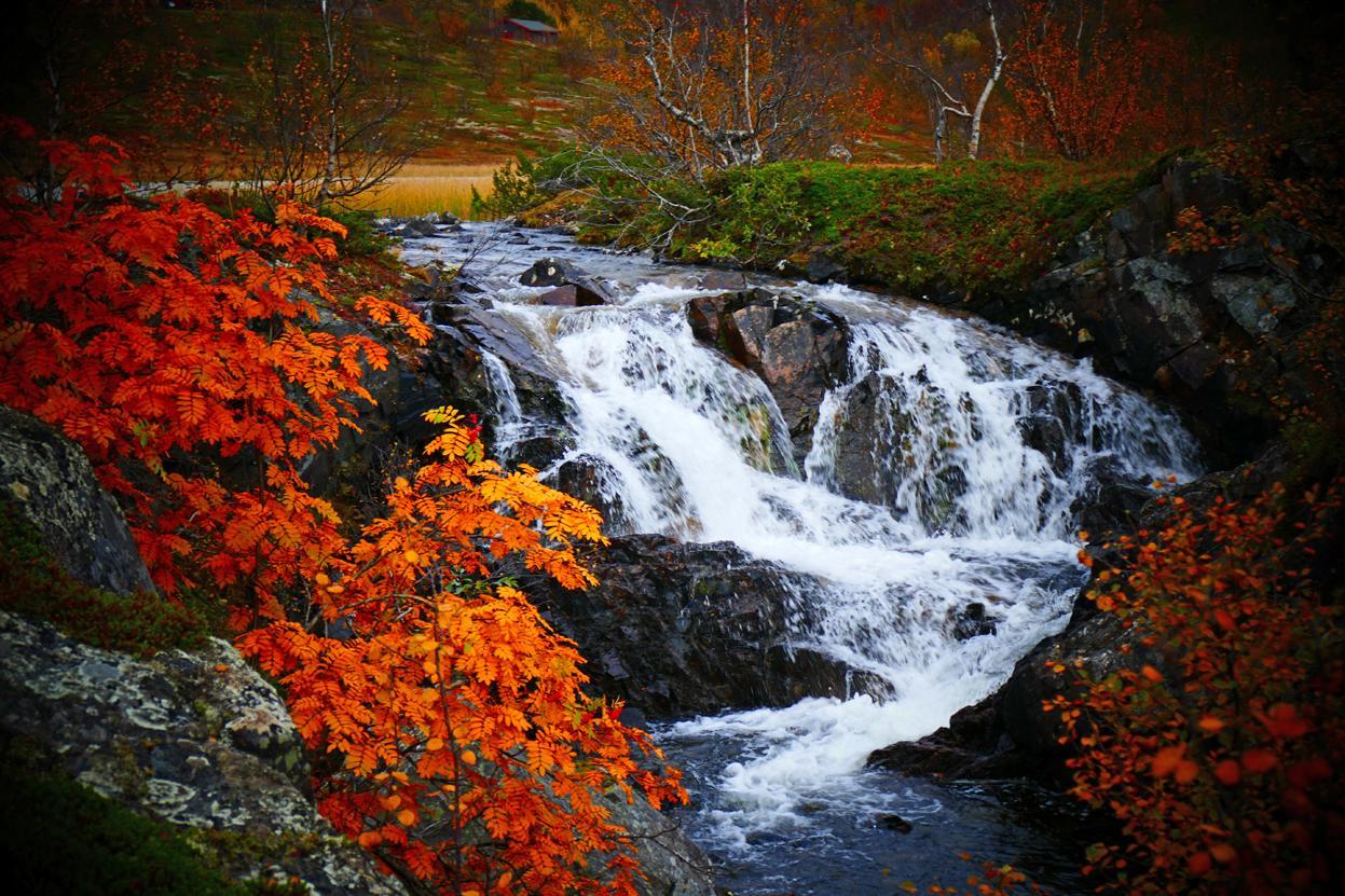 Karalaks Motel Lakselv Bagian luar foto